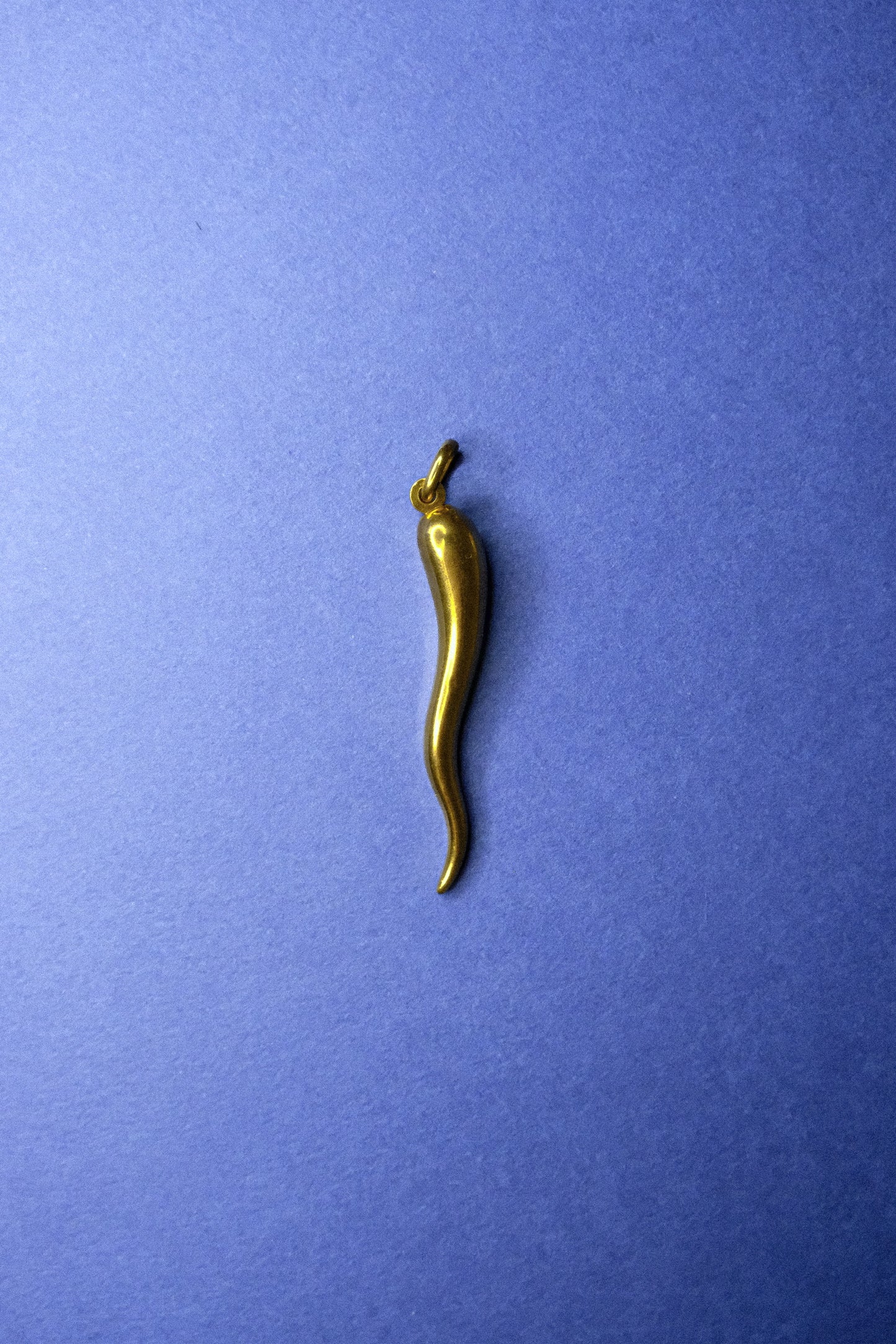 Vintage Gold Chilli Pepper / Horn of Life Charm