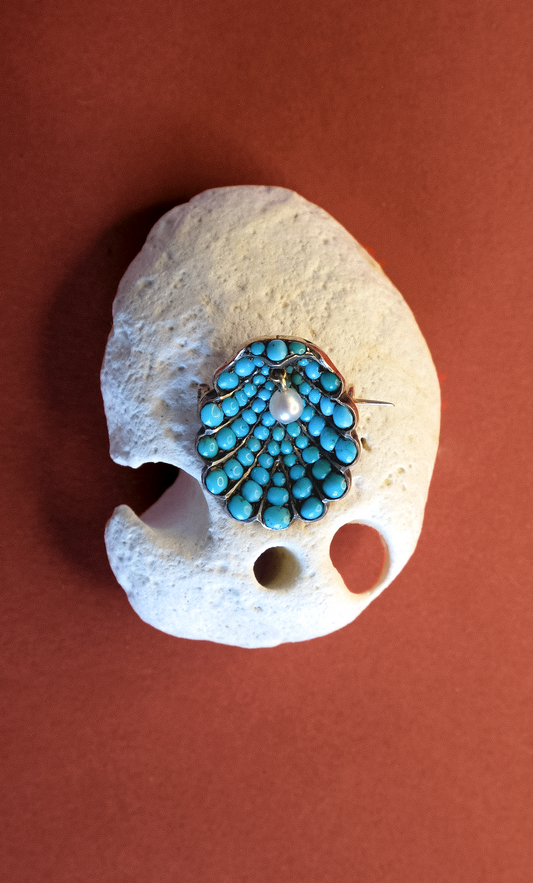 Victorian Turquoise & Pearl Clam Brooch